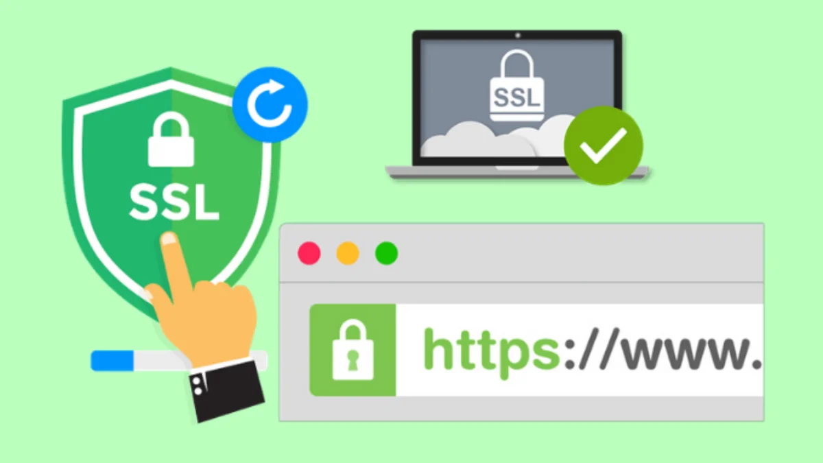 Выбираем подходящий SSL сертификат